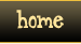 home button