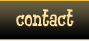contact button